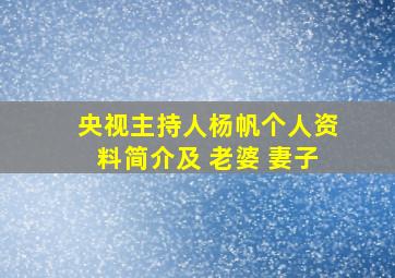 央视主持人杨帆个人资料简介及 老婆 妻子